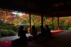 221116b妙心寺大法院21