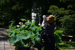 240707a法金剛院52