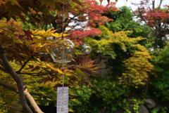 190728cおふさ観音21