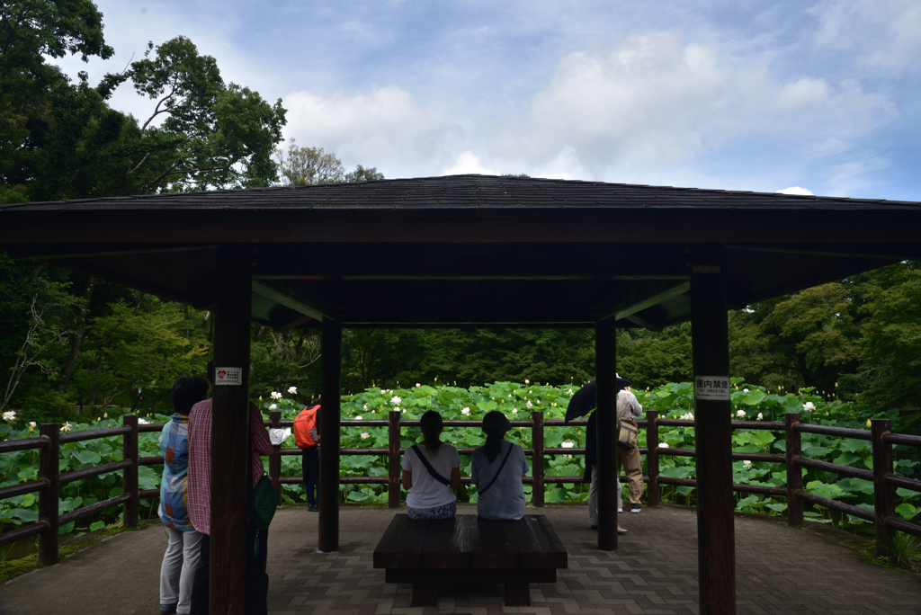 200712京都植物園67
