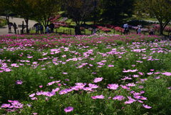 221014馬見丘陵公園10