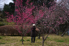 250307c京都御苑33