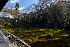 190205cだるま寺68