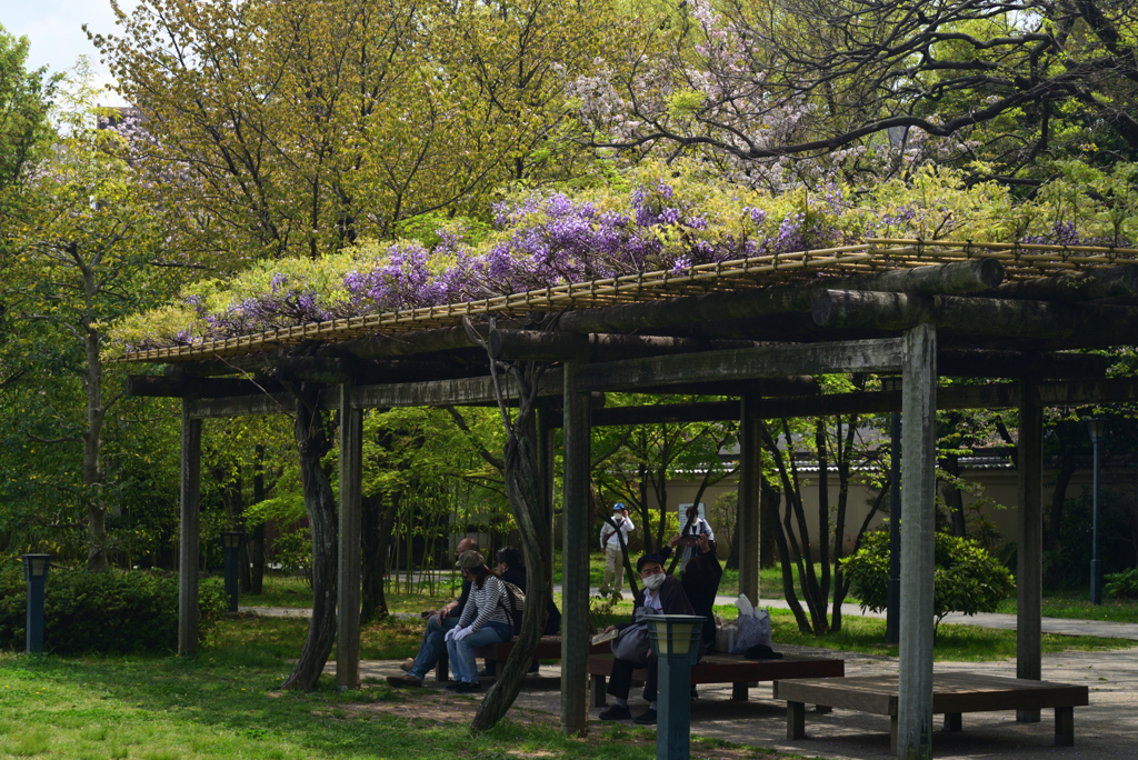 220413c藤田邸跡庭園56