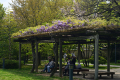 220413c藤田邸跡庭園56