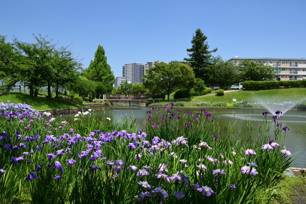 210529a白鷺公園31