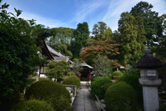 191028f栄摂院14