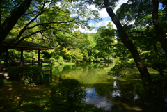 240823京都植物園22