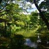 240823京都植物園22