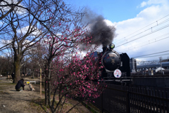 220222e梅小路公園21