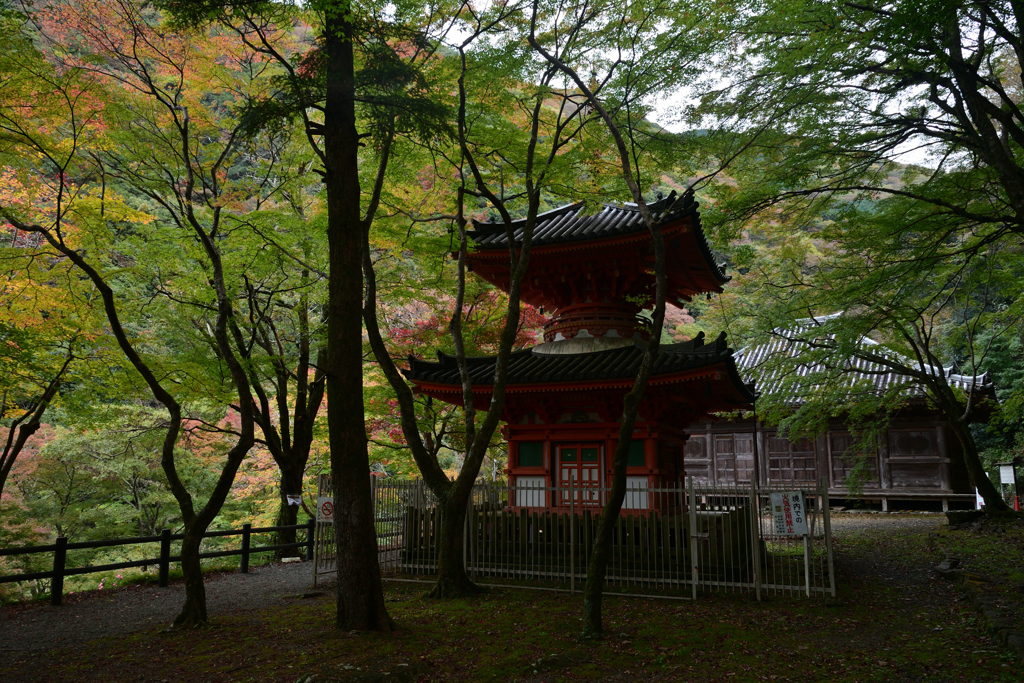 231116c大威徳寺32