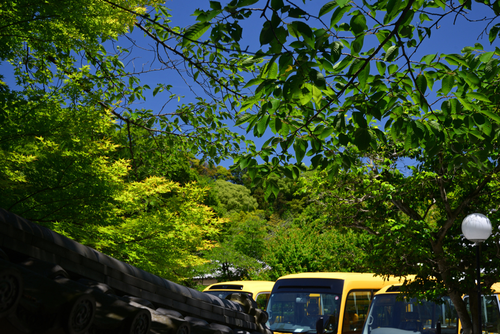 240525d新善光寺24