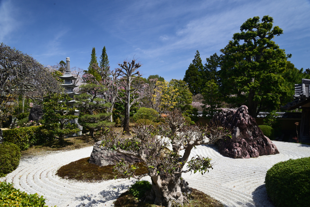 220401b正法寺13