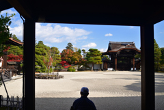 221116d仁和寺45