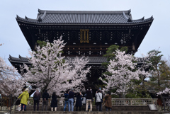 220402c金戒光明寺06