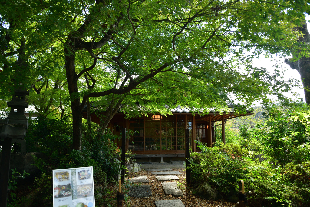 2501010c恵心院12