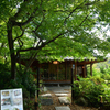 2501010c恵心院12