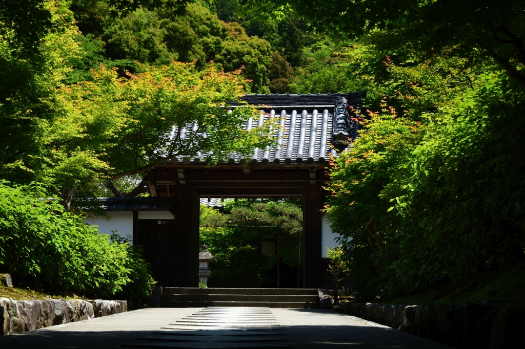 180522a南禅寺73+