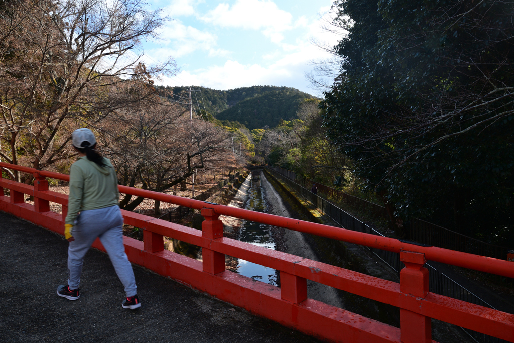 240116a本圀寺02