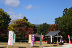 221108a上賀茂神社25
