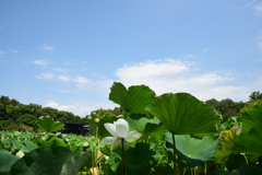 200802万博公園21