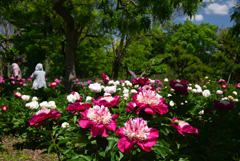 240503a長居植物園20