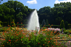 240705京都植物園06