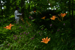 220609京都植物園56