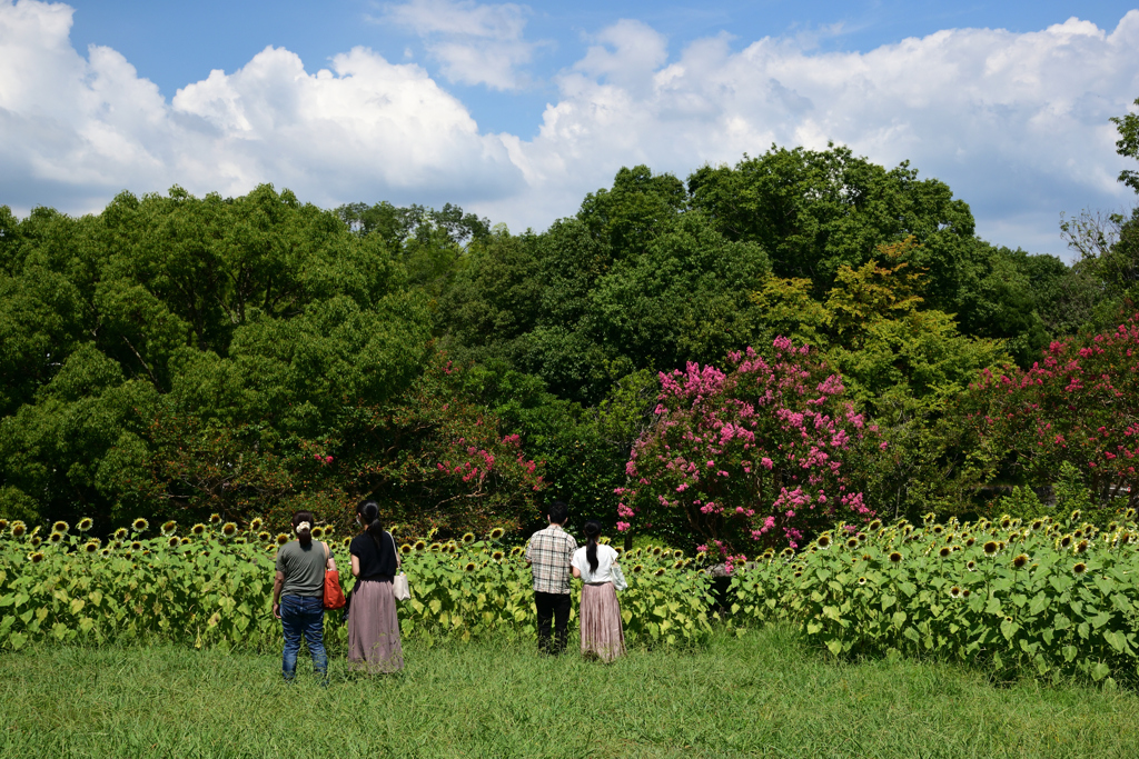210808馬見丘陵公園44
