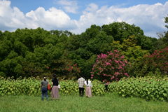 210808馬見丘陵公園44