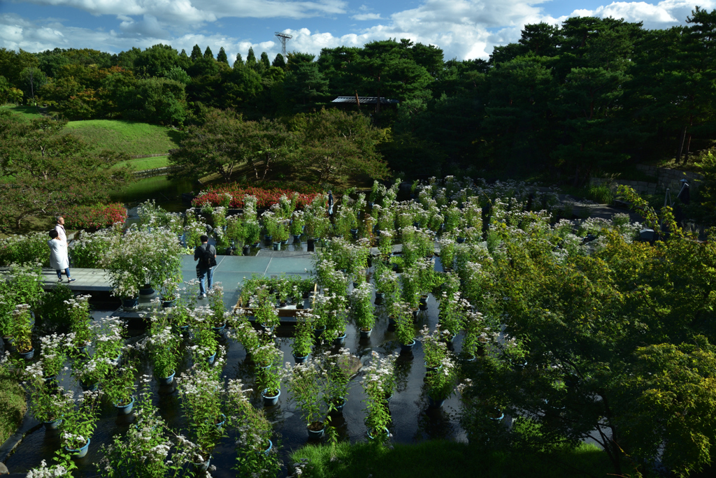 191004梅小路公園61