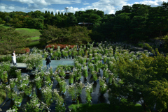 191004梅小路公園61