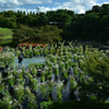 191004梅小路公園61