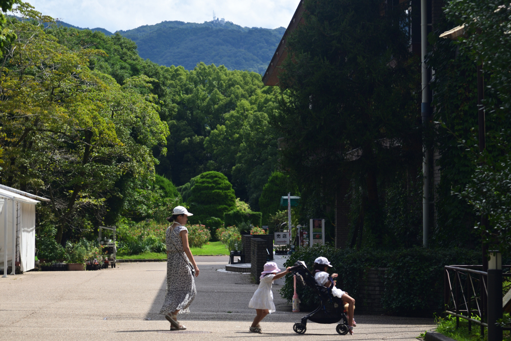 230825京都植物園02