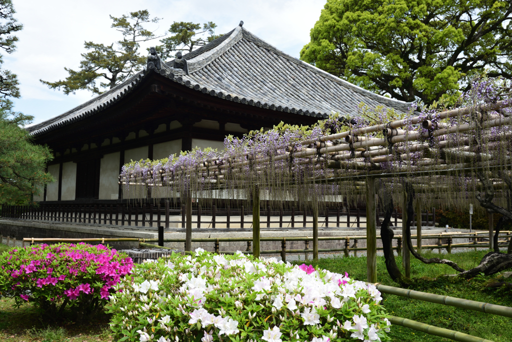200422平等院26
