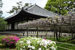 200422平等院26