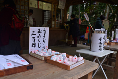 230113e宇治上神社31