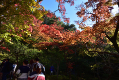 191123a銀閣寺22