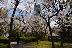 190405a天王寺公園22