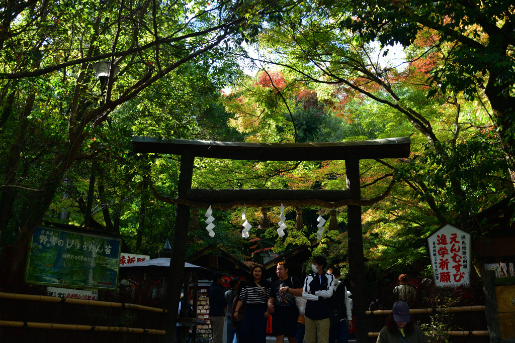 251115e野宮神社29