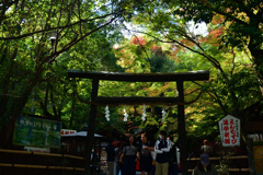 251115e野宮神社29
