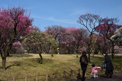 180302荒山公園52+