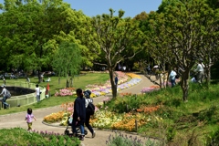 180421長居植物園71+