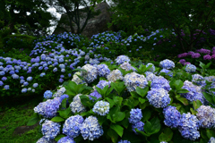 230623g小田原城97