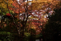 181129b大河内山荘59