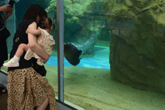 240820京都水族館32