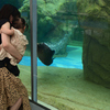 240820京都水族館32
