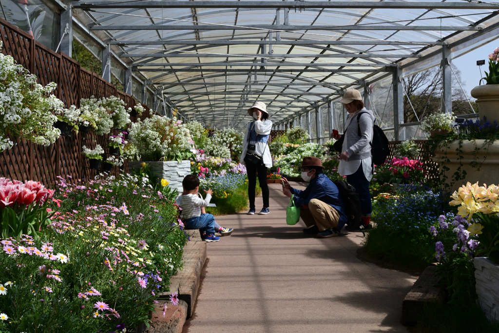 230311京都植物園59