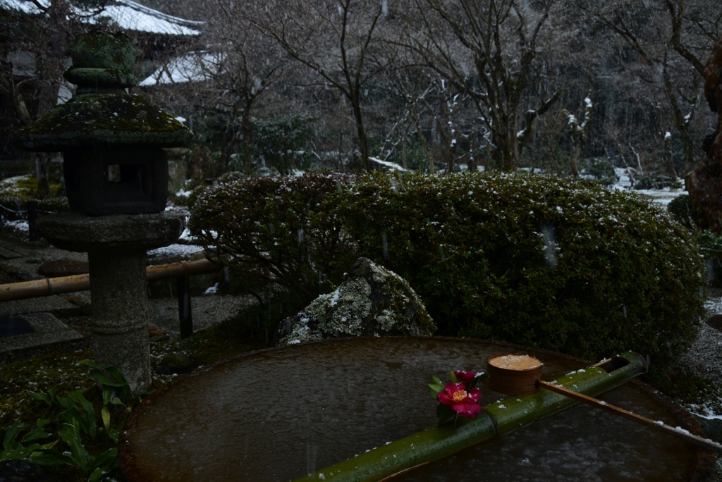 180127b圓光寺22