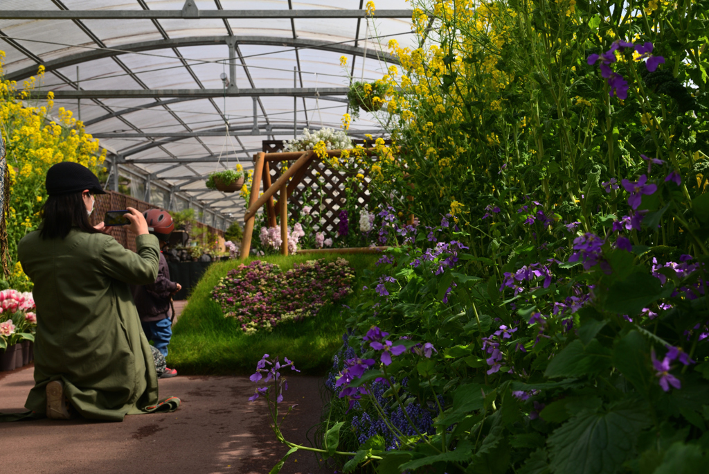 220312a京都植物園54